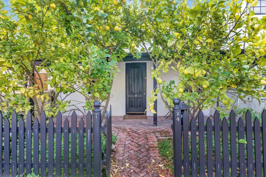 阿德莱德'The Lemon Tree' North Adelaide Character Cottage的树屋前的黑色围栏