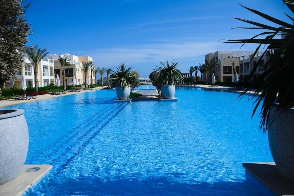 赫尔格达One Bedroom - Mangroovy El Gouna的一座种植了棕榈树和建筑的大型蓝色游泳池