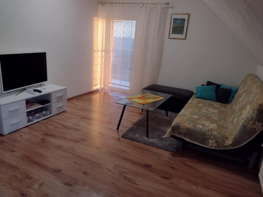 尼特拉Appartement in Nitra under the Zobor-Hill的带沙发和电视的客厅