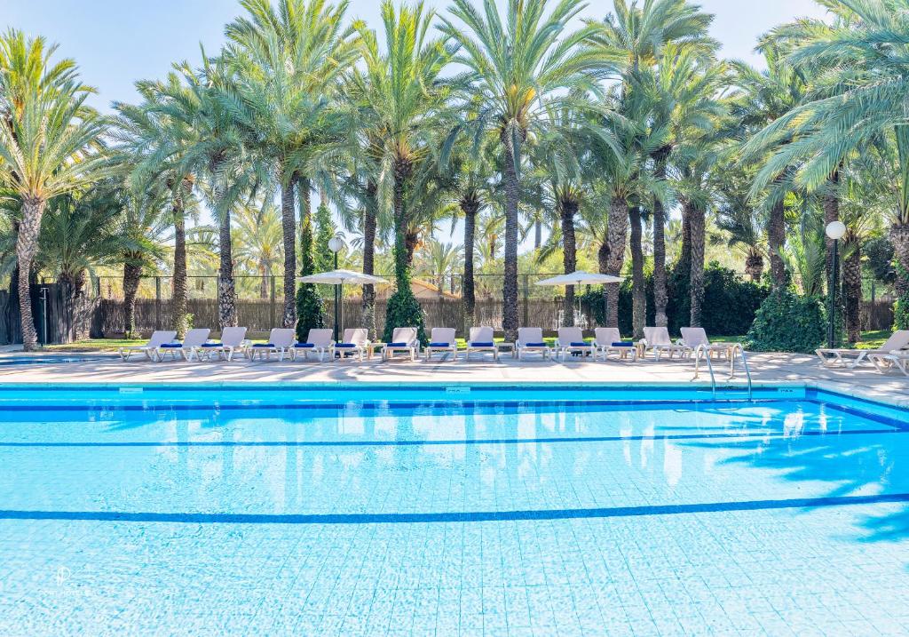 埃尔切千禧花园酒店的一个带椅子的游泳池,棕榈树