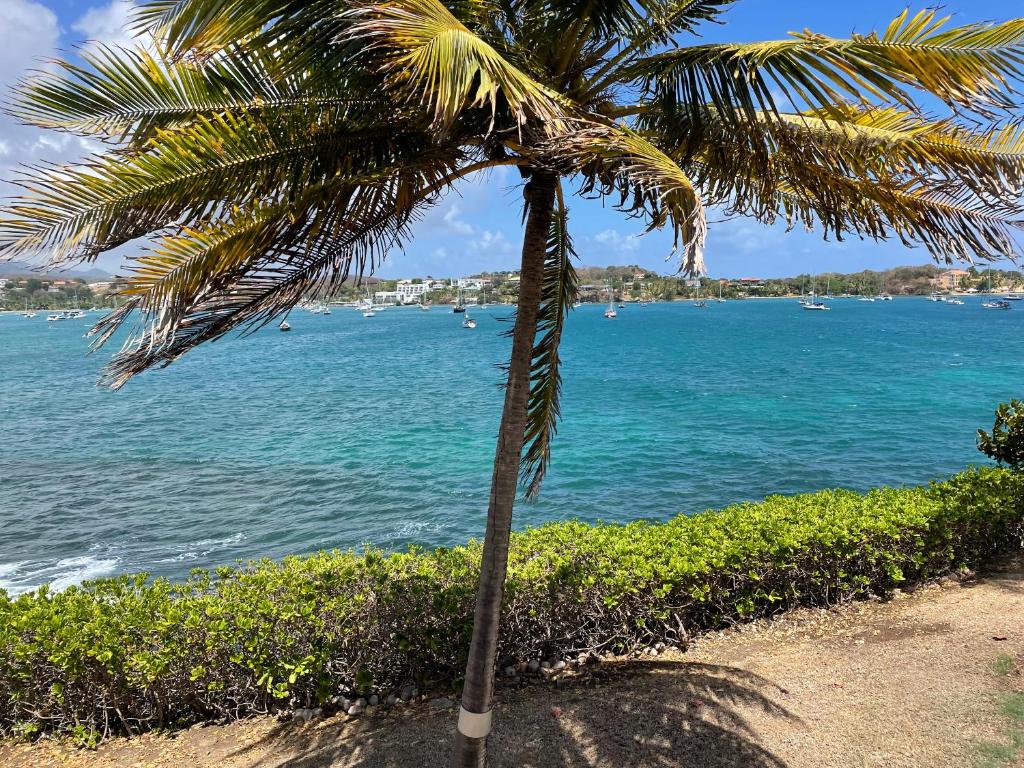 True BlueSeamoon Villetta的坐在海洋旁的棕榈树