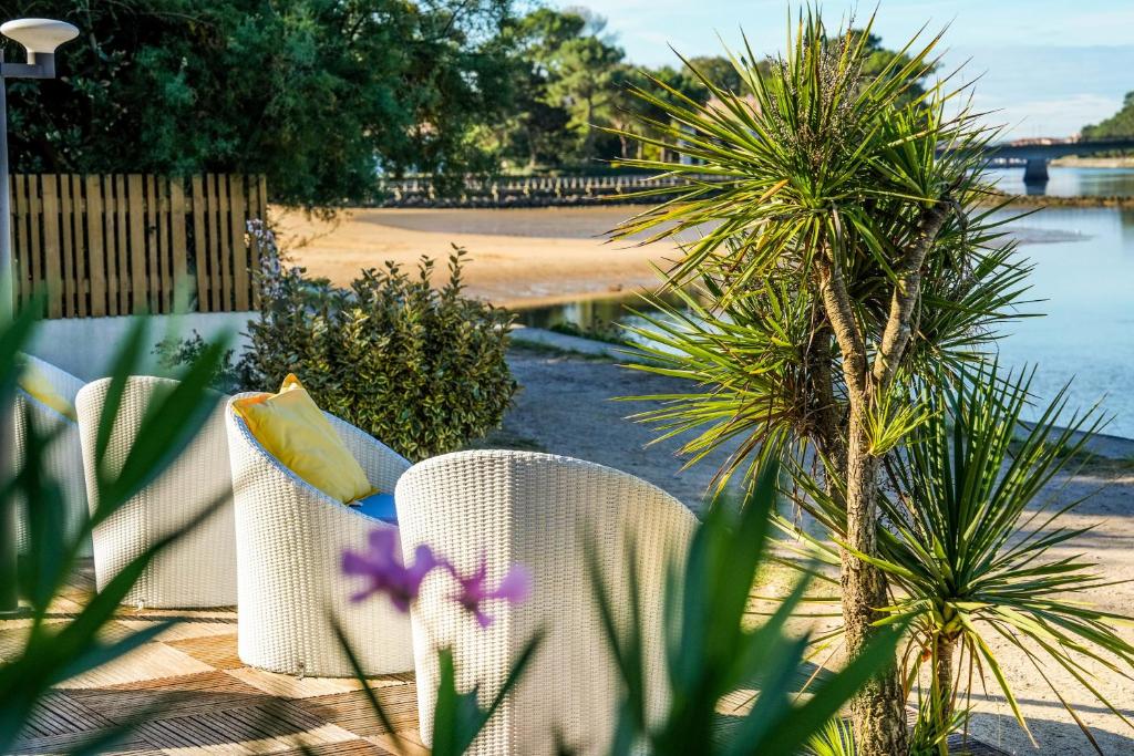 奥瑟戈尔帕维永布勒酒店的一个带两把白色椅子和棕榈树的庭院