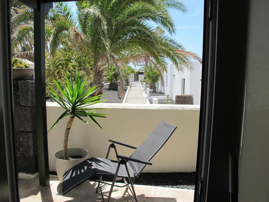 科斯塔特吉塞Bungalow LIDO-Playa Roca residence with sea front access - Free AC - Wifi的棕榈树阳台的椅子