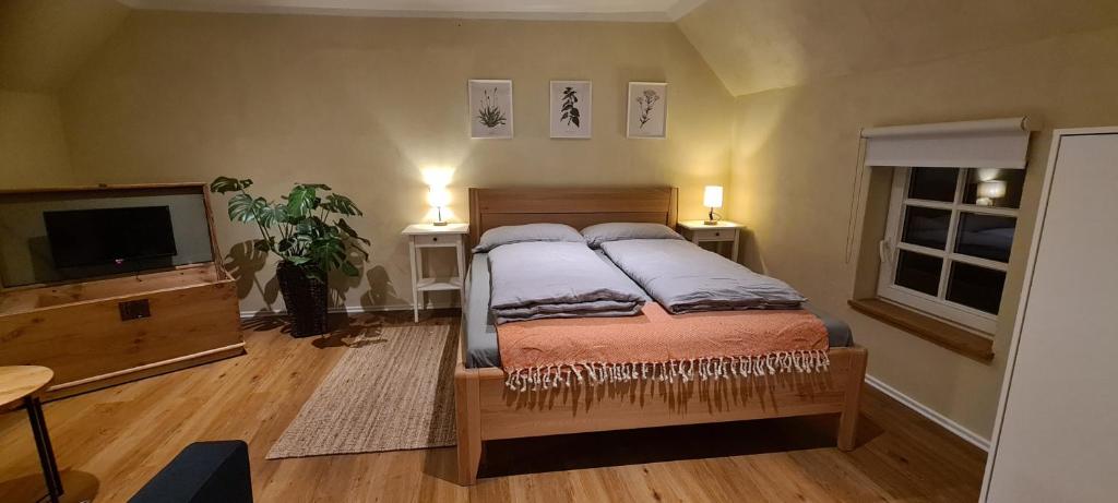 宁布雷希特Jedermanns Nest的一间卧室配有带两个枕头的床和电视