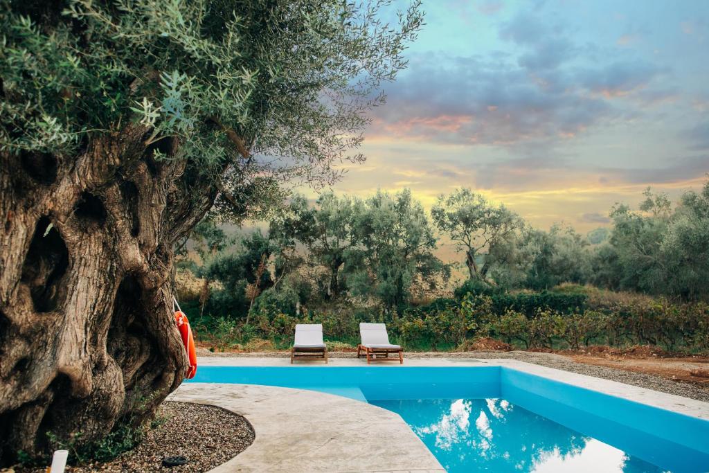 雷夫卡达镇Villa di Vino的树旁带两把椅子的游泳池