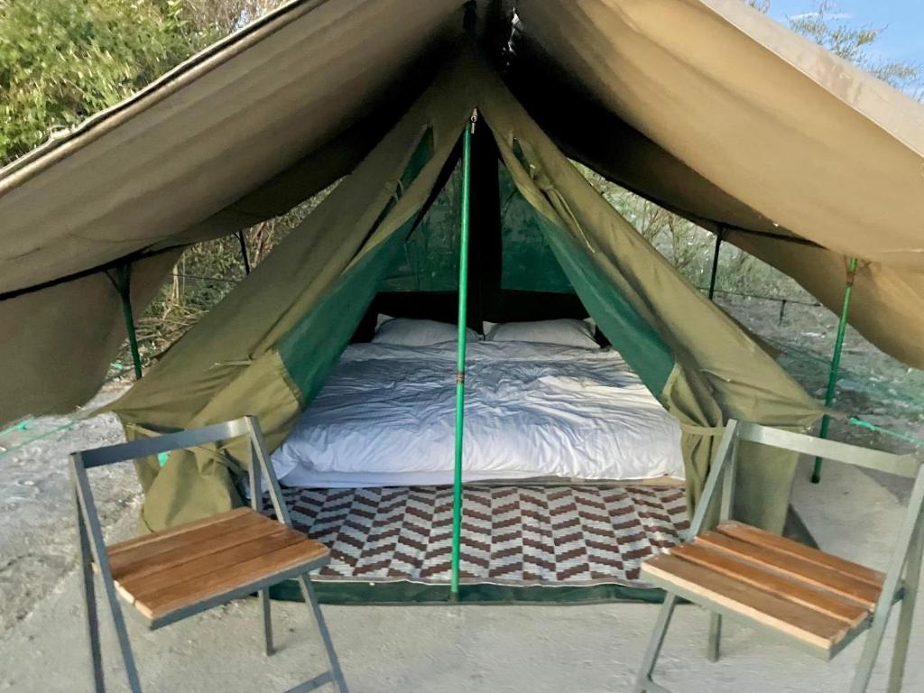 SekenaniKambu Mara Camp的帐篷内的一张床和两把椅子