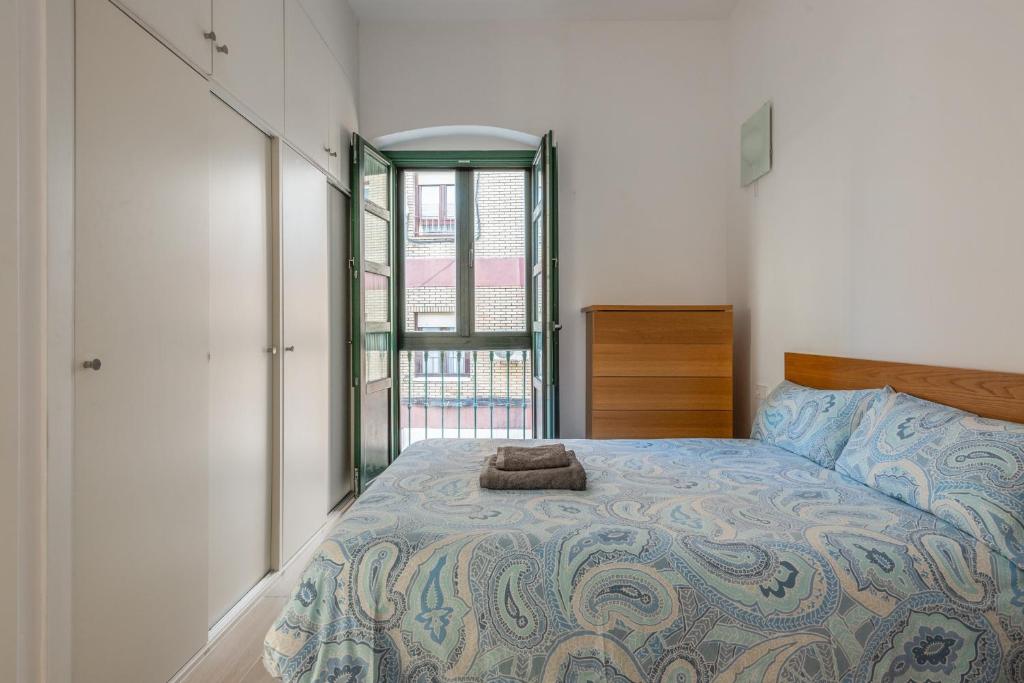 塞维利亚Apartamento en Sevilla vacacional的一间卧室配有一张床铺,床上有毯子