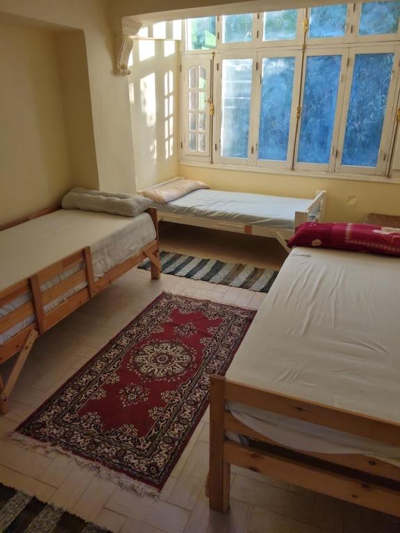 阿斯旺Villa Elaraby Mohamed的带三张床和地毯的房间