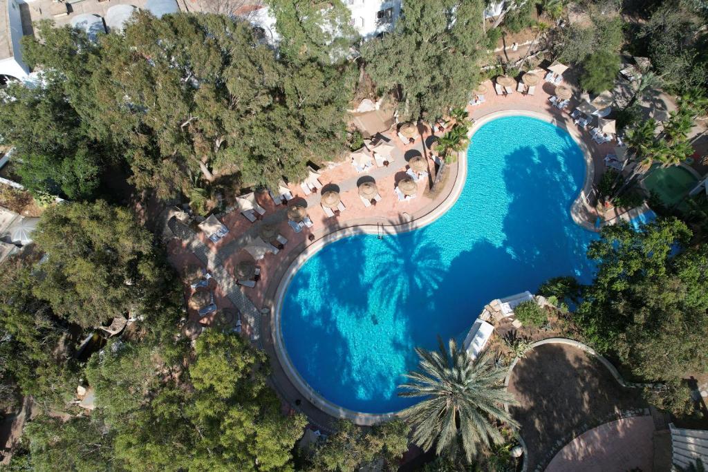 哈马马特Tunisia Lodge的享有带椅子和树木的游泳池的顶部景致