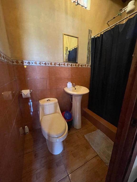 迦太基Dreams Lodge Orosi的一间带卫生间和水槽的浴室