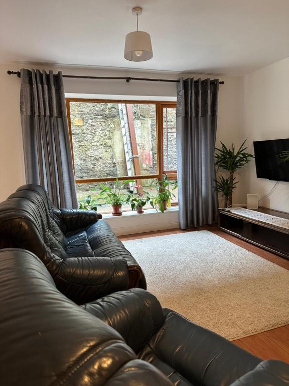 沃特福德Modern Apartment X91 R940的客厅配有真皮沙发和电视
