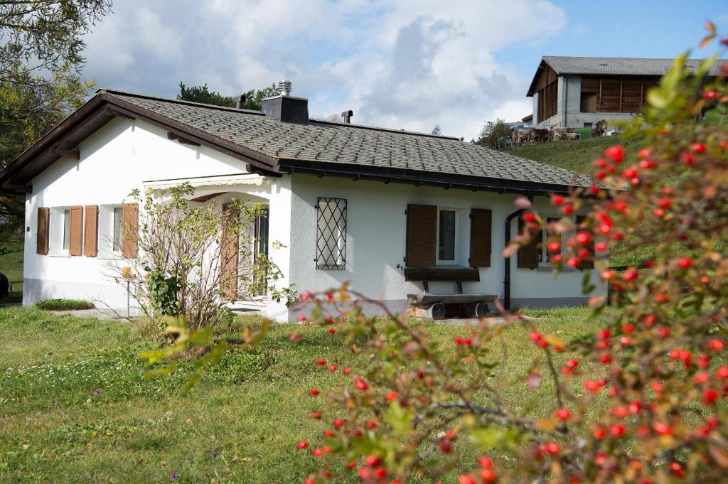 LenzFerienhaus mit Garten Tgease Schilendra-Lantsch-Lenz-Lenzerheide的一座小白色房子,在山坡上,种着红色的花