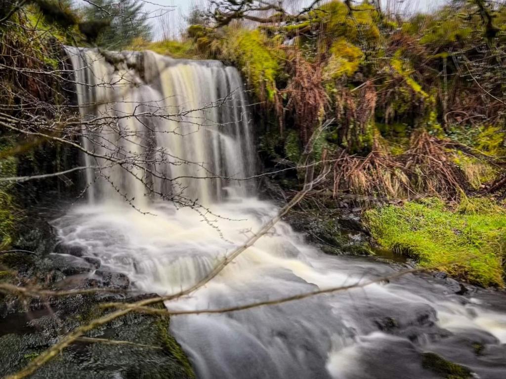 GlenariffGlenariff Forest Getaway的河岸上的瀑布