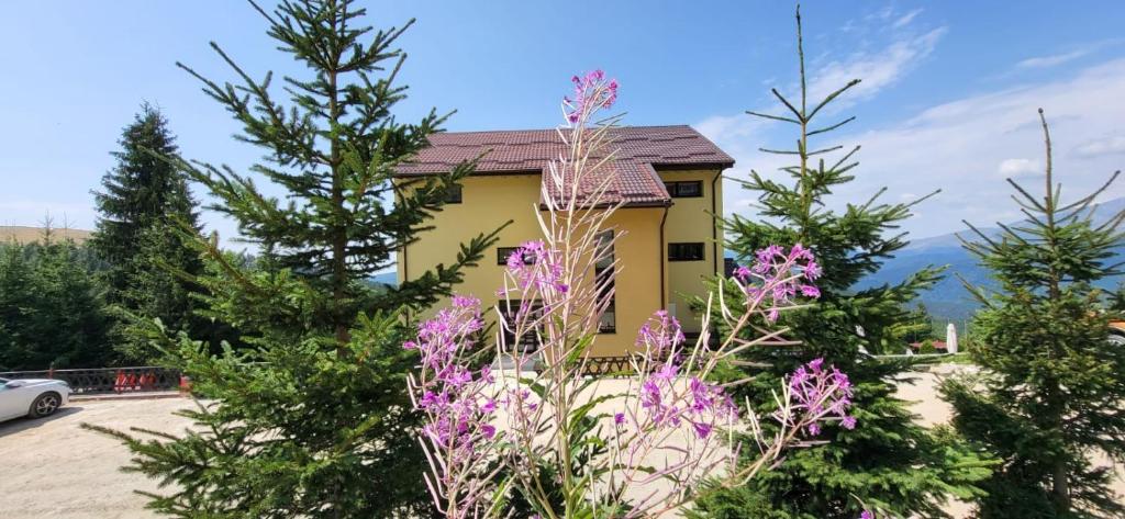 兰卡Pension Valea Mariei的一座黄色的房屋,有树木和紫色的鲜花