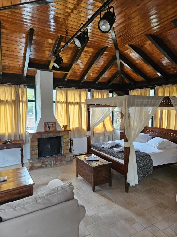 卡拉维塔Muntenia Inn Apartments and Suites的客厅设有一张床和一个壁炉