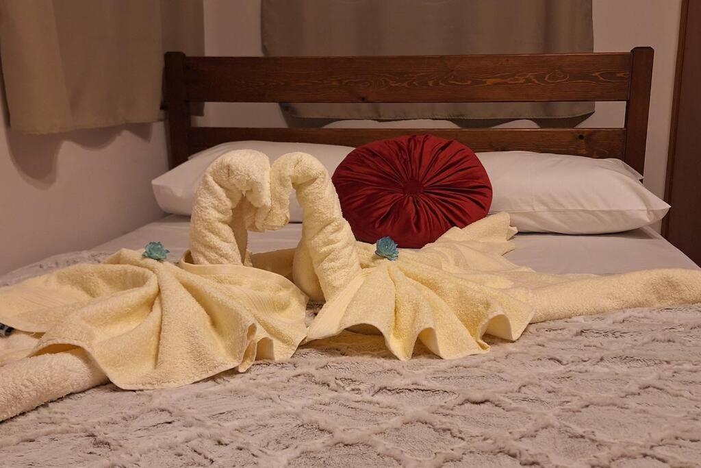 阿姆菲克利亚Ορεινό καταφύγιο Παρνασσού的床上的一条毛巾