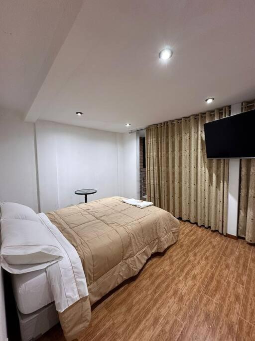 皮斯科Casa San Andrés Arenas I的一间卧室配有一张床和一台平面电视