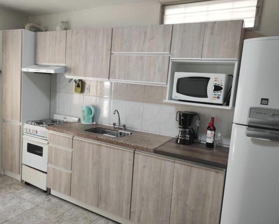 卢汉德库约Departamento Carrodilla Luján的厨房配有水槽、微波炉和冰箱