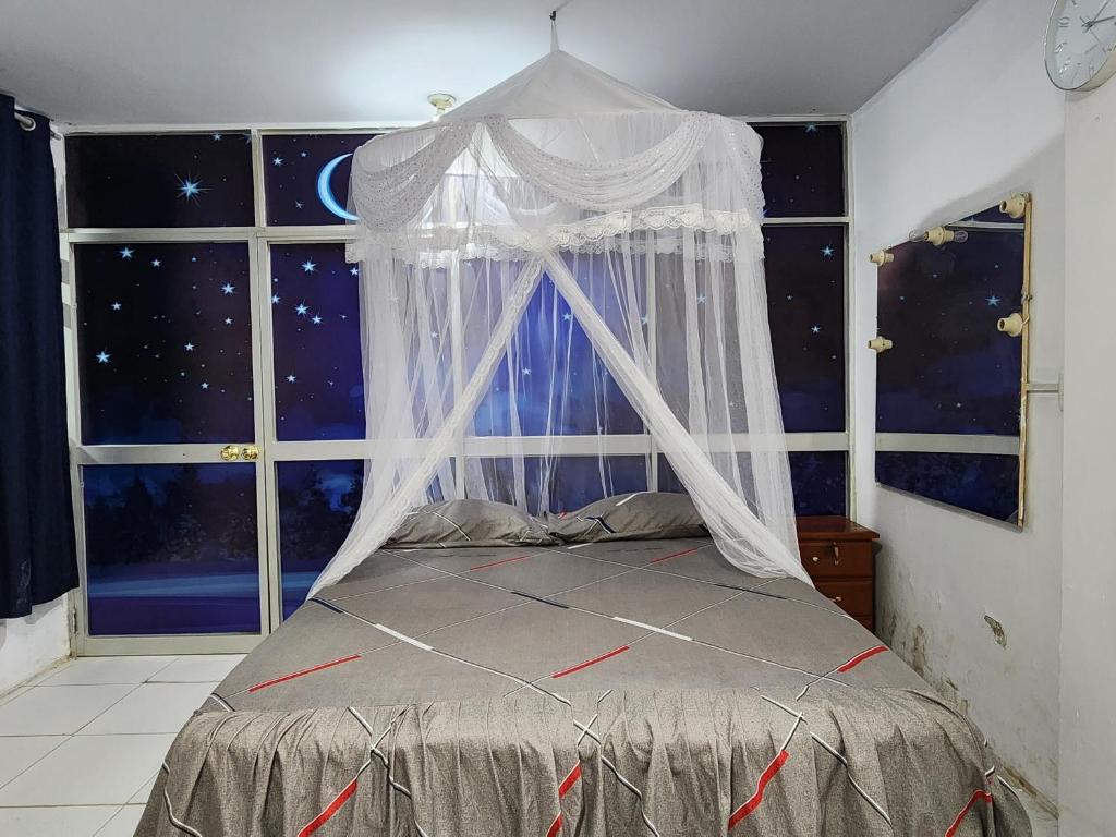 普卡尔帕Departamento amoblado的一间卧室配有一张带天蓬和窗户的床