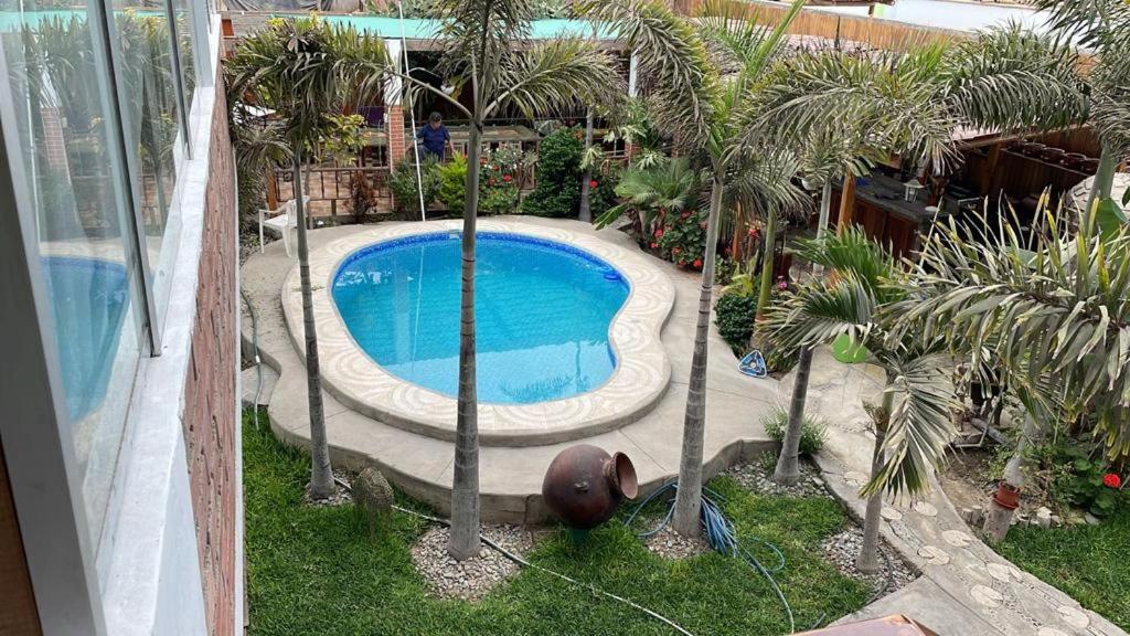 阿夏Villa Del Solar的享有棕榈树游泳池的顶部景致