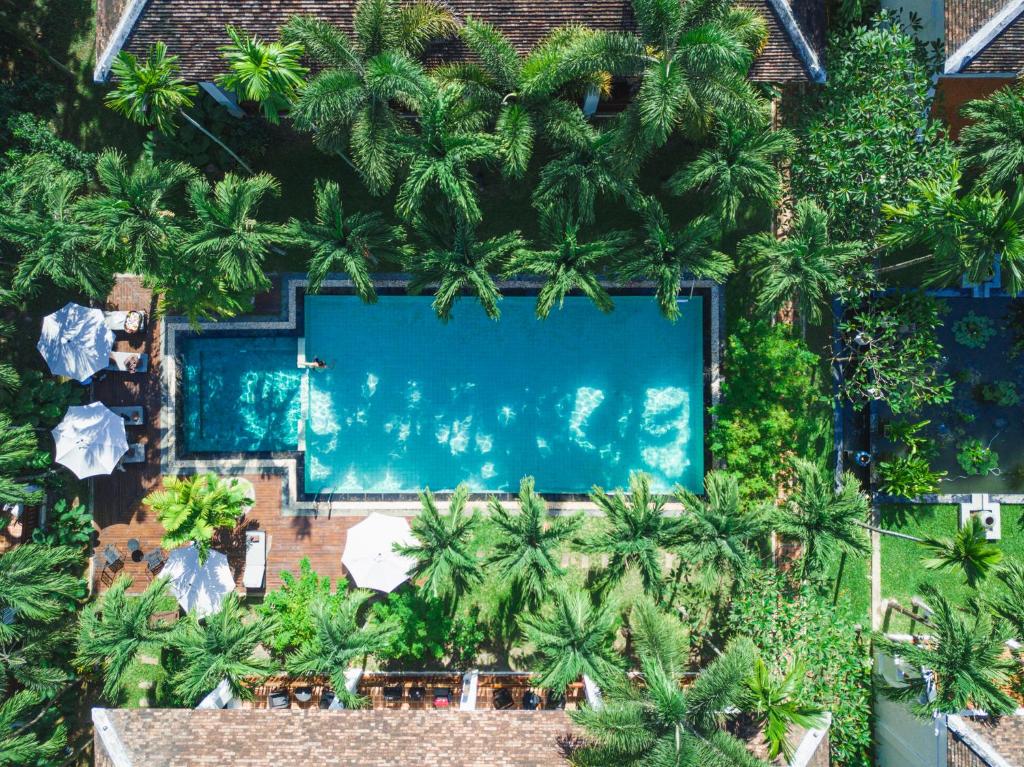 万象绿园精品酒店的享有棕榈树游泳池的顶部景致