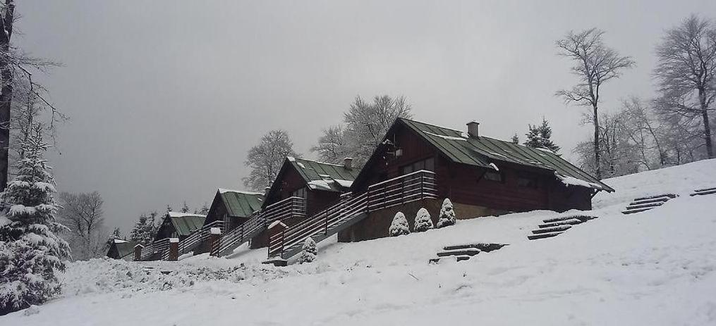 普斯特文尼Bungalovy-Pustevny的雪覆盖的一组建筑