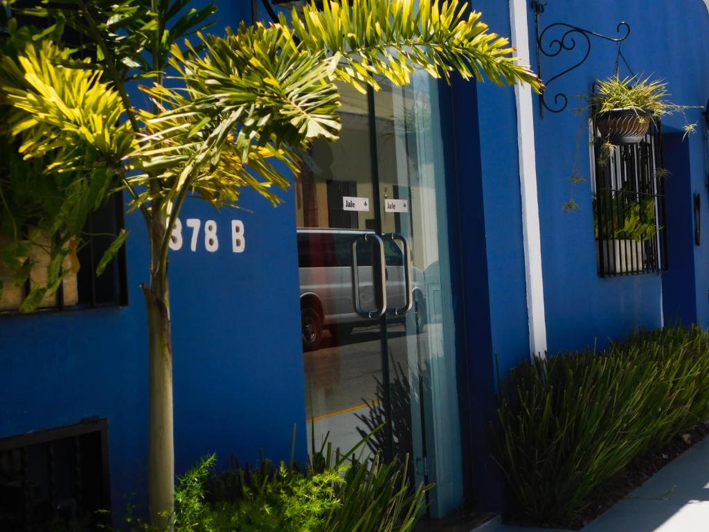 梅里达Hotel Boutique Casa Flor de Mayo的门前有棕榈树的蓝色建筑