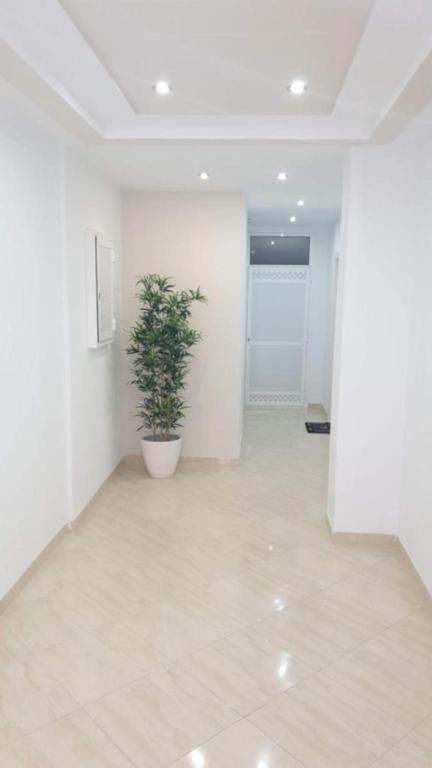 梅利利亚Bonito apartamento en Barrio Calvo Sotelo的一间白色的房间,里面装有盆栽植物