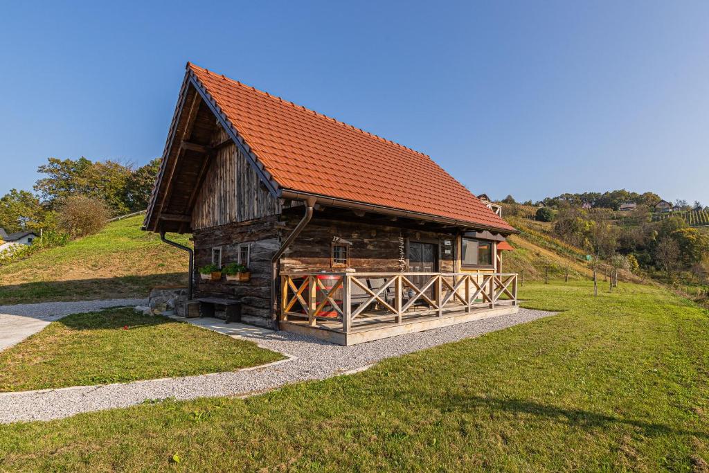 MirnaVineyard Cottage Grajska Kašča - Happy Rentals的山丘上带红色屋顶的小木屋