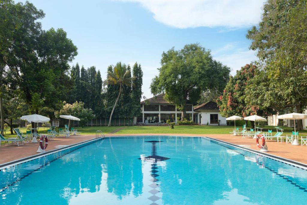 尼甘布Tamarind Tree Garden Resort - Katunayake的一个带椅子和遮阳伞的大型游泳池