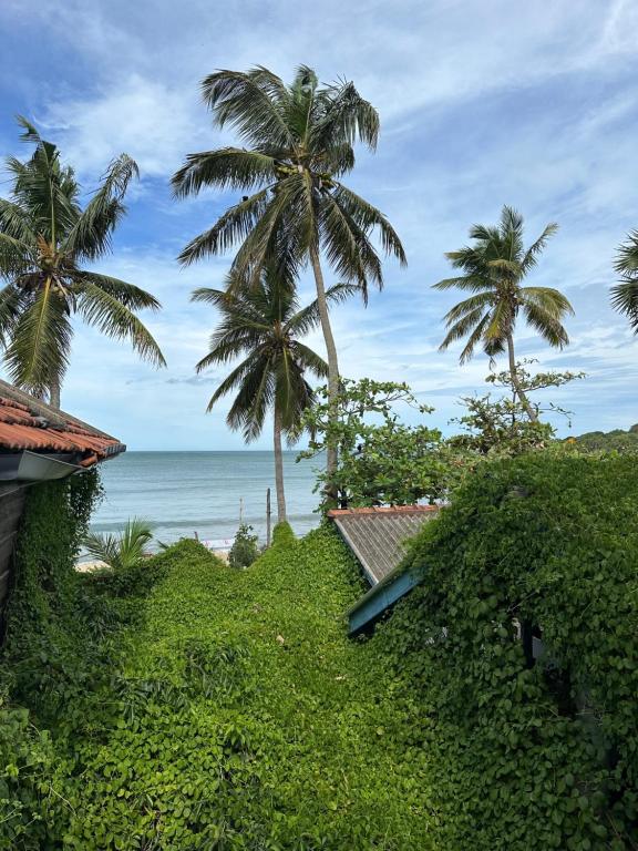 阿鲁甘湾Arugambay Surf Resort的享有棕榈树海滩和大海的景色