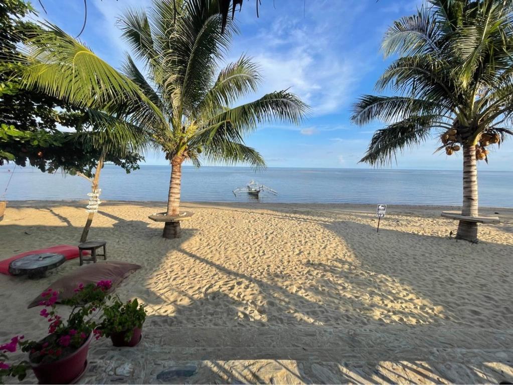 罗哈斯Mecaja Beach House的棕榈树和海洋的沙滩