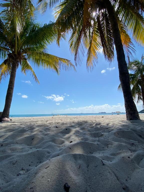 迈阿密Wynwood Beds的两棵棕榈树,在沙滩上,有沙滩和大海