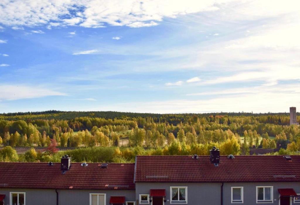 TorsåkerHögalid的一组有树的房屋