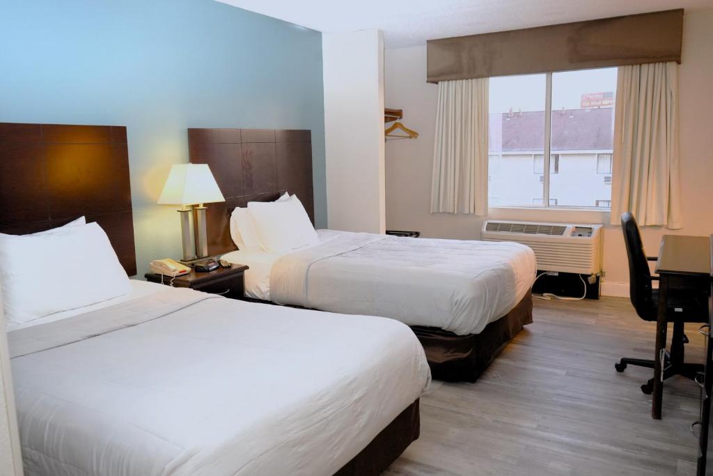 亚克朗Copley Inn & Suites, Copley - Akron的酒店客房设有两张床和窗户。
