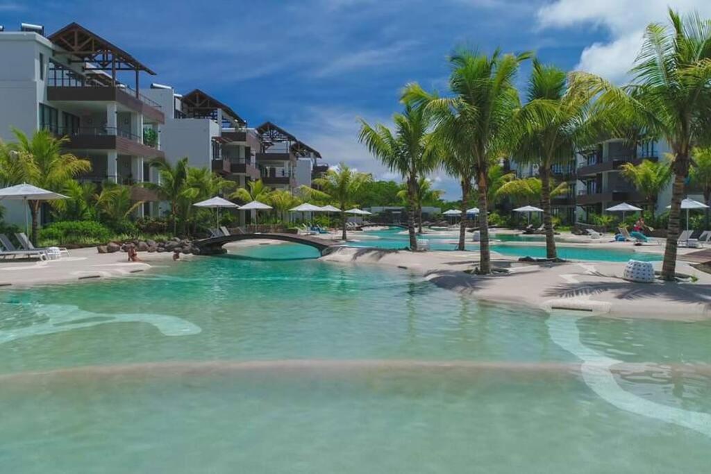 蒙舒瓦西Wonderful Mont Choisy flat, huge lagoon pool的棕榈树度假村的游泳池
