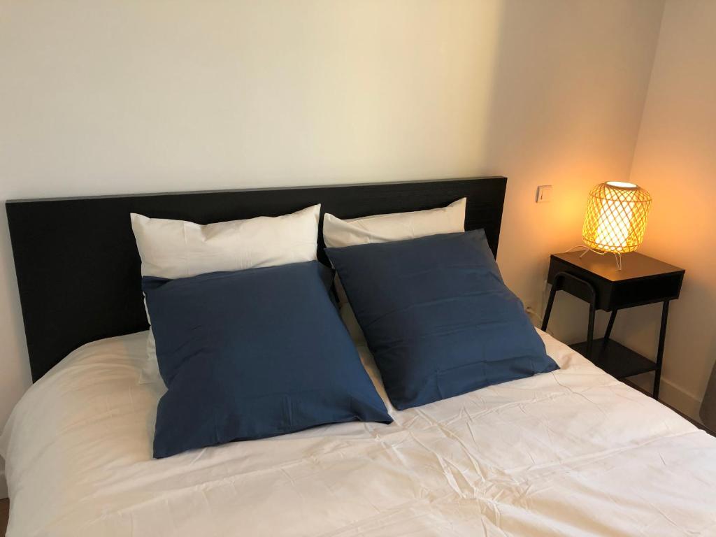 图卢兹Maison confortable et calme/5 chambres & 6 SdB的床上有2个蓝色枕头