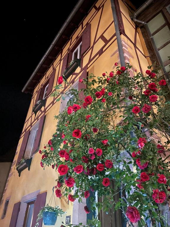 利克维La Chambre des Trois Églises的挂在建筑物边的一束红玫瑰