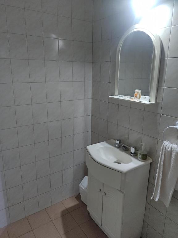 圣罗莎Lo de Bibi的一间带卫生间、水槽和镜子的浴室