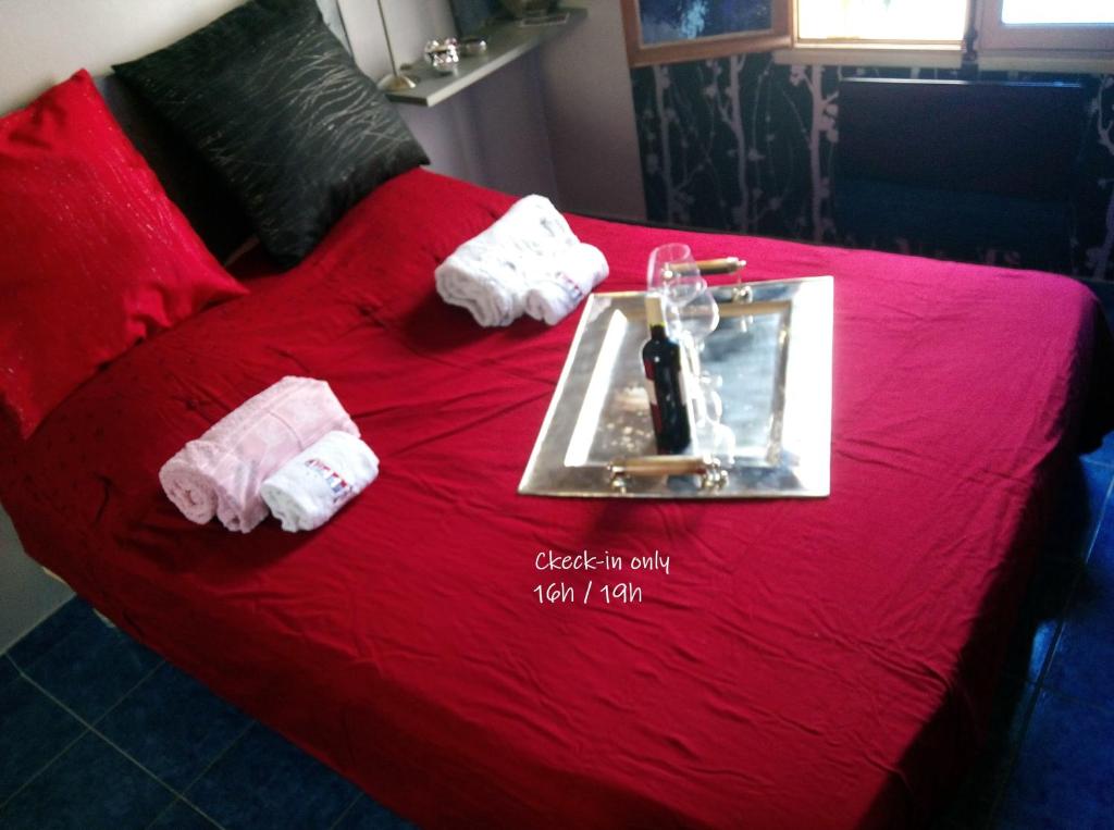 尼姆Patrick&Pierre Bed and Breakfast Nîmes的一张红色的床,上面有装有一瓶葡萄酒的托盘