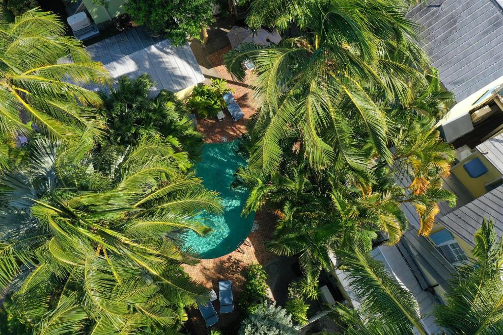 基韦斯特Tranquillity Guest House的棕榈树泳池的空中景致