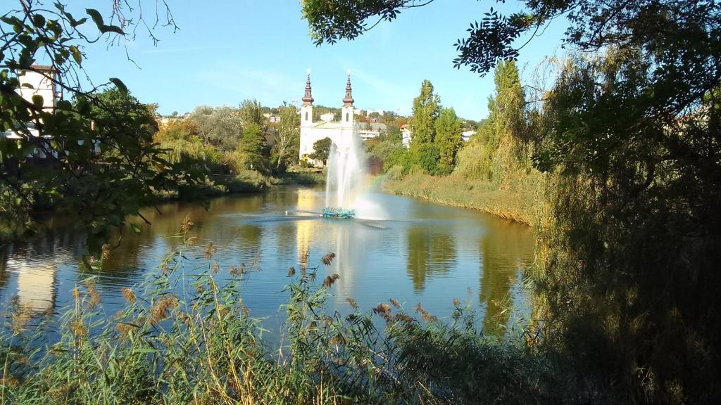 布达佩斯Parkside Large Modern Garden View Apartment的一座有喷泉的河上的桥梁