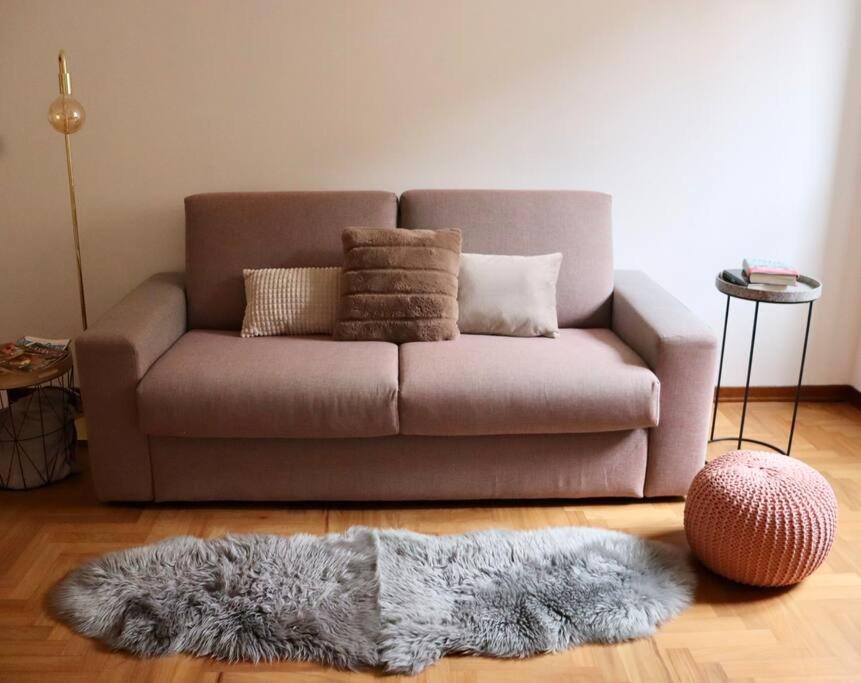 阿奎泰尔梅Cozy Flat in Piemonte的客厅里一张棕色的沙发,铺着毛绒地毯