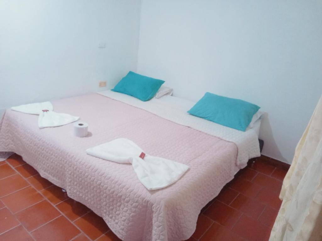 莱瓦镇Hostal central的一张带蓝色枕头的白色床和毛巾