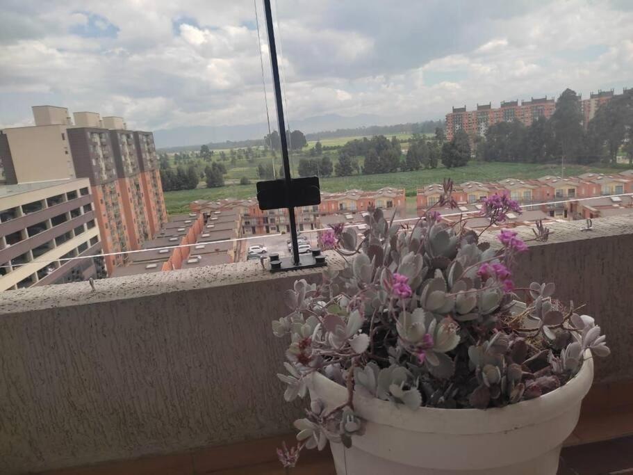 MosqueraDisfruta de una vista hermosa.的坐在阳台的顶端的盆栽植物