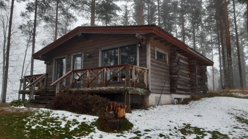 TölväJokiniemen Matkailu Cottages的雪中树林里的小木屋