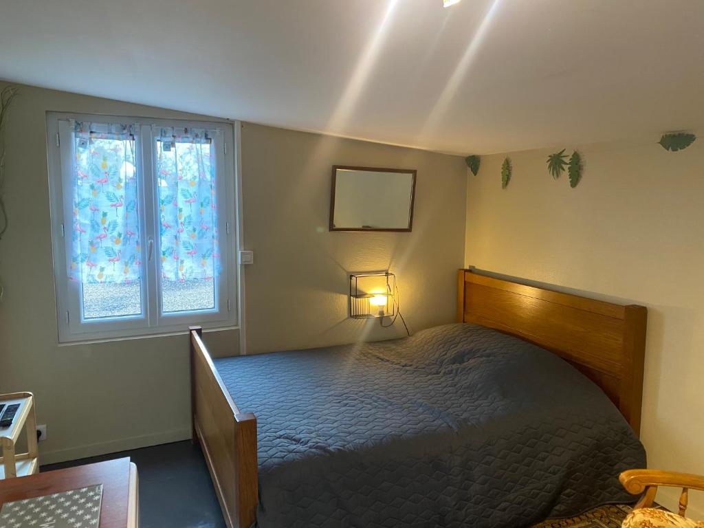 Villeneuve-sur-YonneLes Sainfoins, Idéal voyageurs Pro的一间卧室设有一张床和两个窗户。
