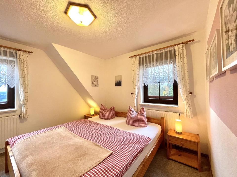 奥泊维森塔尔Pension Schanzenblick的一间卧室设有一张床和两个窗户。