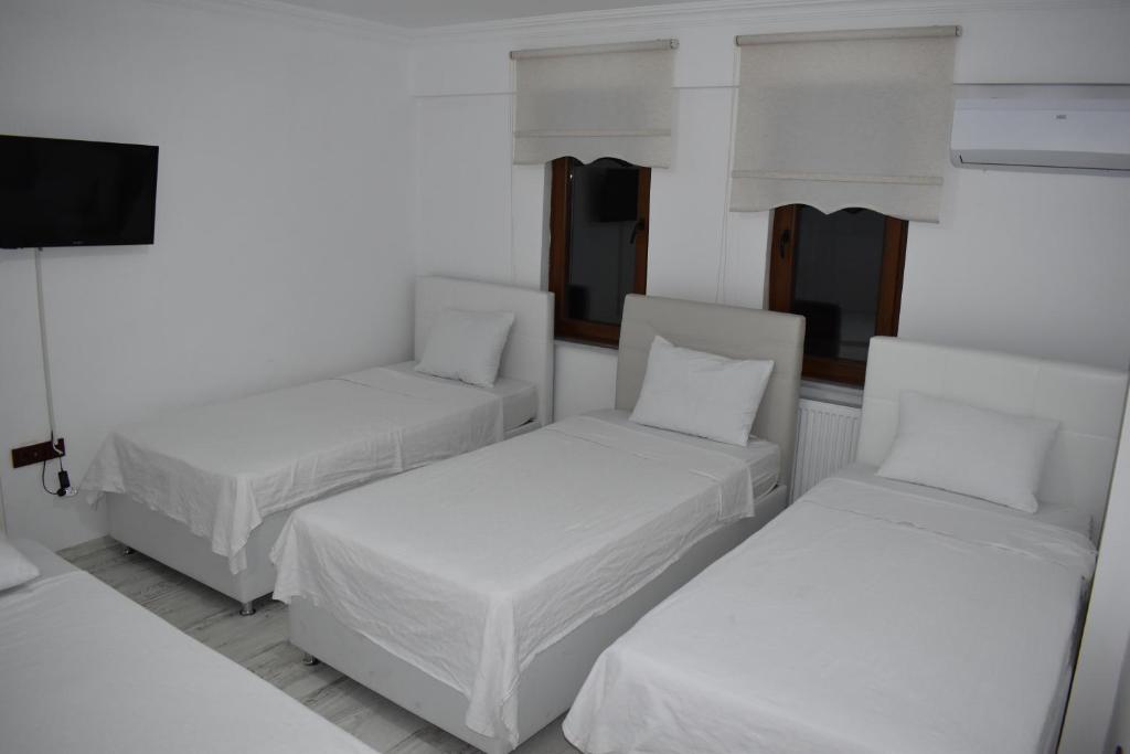 埃迪尔内edr ulus 22otel的客房设有两张床和一台平面电视。