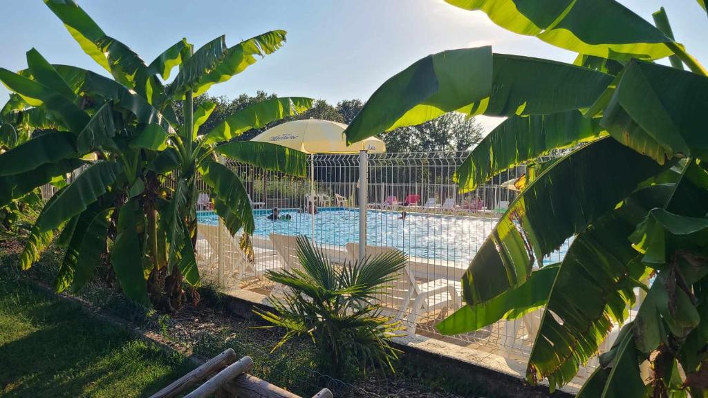 La DouzeLe Domaine du Bois Coquet的一个带棕榈树和遮阳伞的游泳池